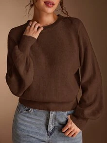 SHEIN BASICS 女款休閒百搭米白色圓領長袖針織毛衣，秋季女裝，適合上班、日常、居家、辦公室穿搭 - 棕色 - 查看 3