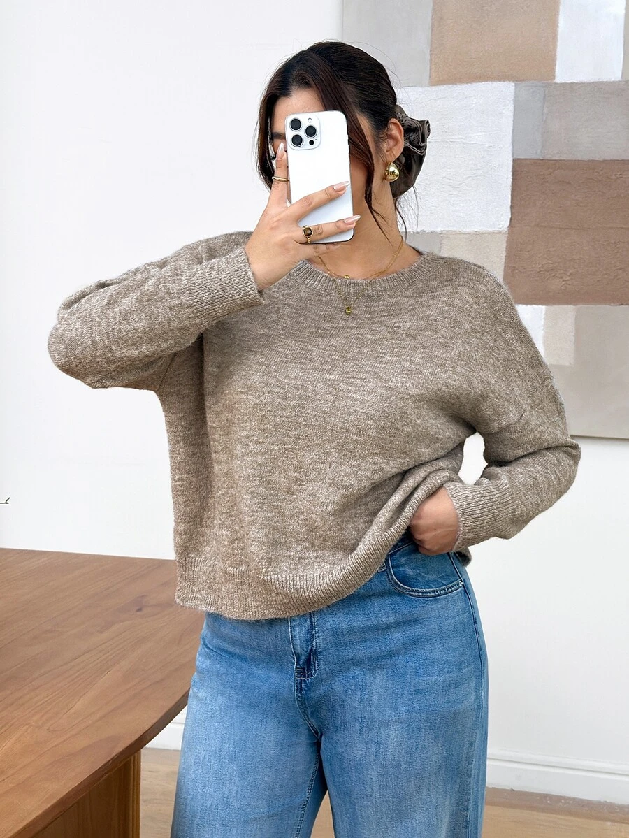 Lounesse Plus Size Women's Crew Neck Drop Shoulder Long Sleeve Casual Pullover Sweater Winter - Multicolor - View 1