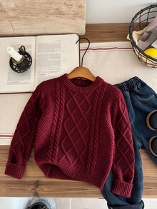SHEIN 兒童小男孩秋冬毛衣，柔軟舒適學院風英倫風校服，適用返校季、職業日、聖誕節、萬聖節、生日 - 彩色 - 查看 3