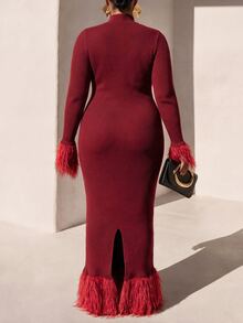 Zivah Plus Size Women's Ribbed Knit Sweater Dress With Tassel Decor - Burgundy - View 2