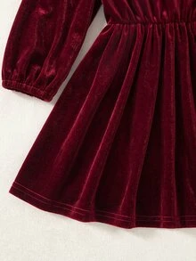 Baby Girl Velvet Thick Long Sleeve Ruched Waist Lace Embroidered Peter Pan Collar Loose Long Dress Suitable For Winter Christmas - Burgundy - View 5