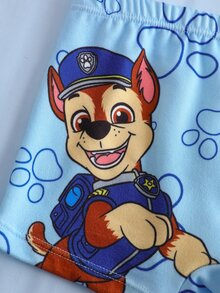 SHEIN | PAW Patrol Young Boy Letter Cartoon Print Casual Daily Boxer Briefs - Multicolor - View 5