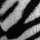 Black and White