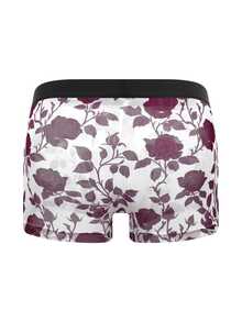 DrisQ DrisQ 1pc Men's Mesh Boxer Briefs Underwear - Multicolor - View 2