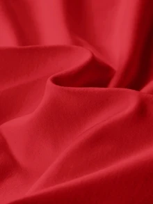 SHEIN BASICS 女款奶油白色立領上衣，修身剪裁，長袖，假領，秋季女款，適合辦公室日常，極簡基本款，優雅端莊 - 紅色 - 查看 5