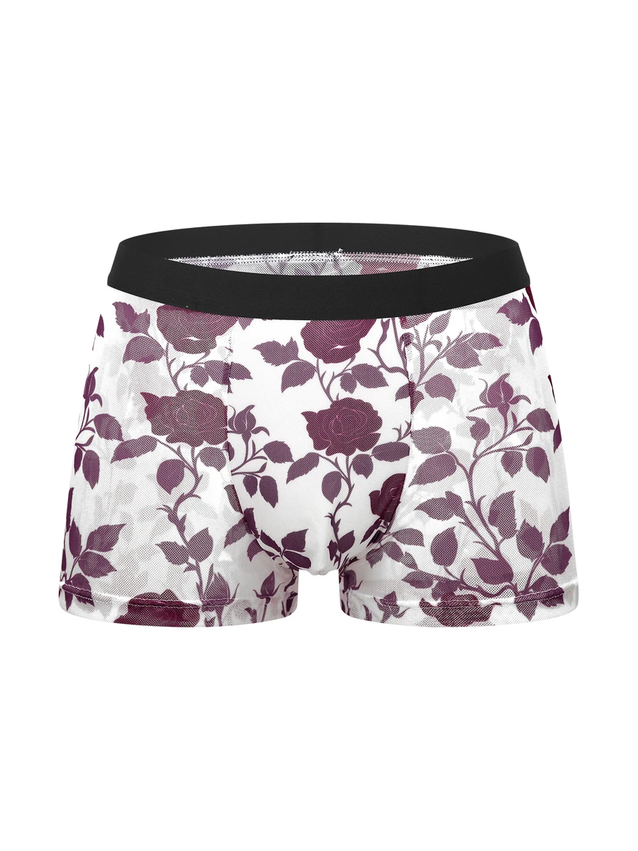 DrisQ DrisQ 1pc Men's Mesh Boxer Briefs Underwear - Multicolor - View 1
