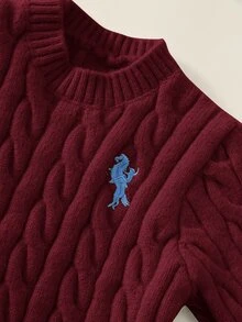 SHEIN 中性嬰兒男/女嬰秋冬可愛百搭奶油色圓領針織毛衣，嬰兒男童秋冬服飾，柔軟舒適，復古風 - 紅色 - 查看 6