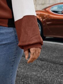 SHEIN LUNE Plus Size Casual Baggy Contrast Color Round Neck Lantern Sleeve Sweatshirt, Autumn Fall Clothes Formal Vacation Going Out White - Multicolor - View 4