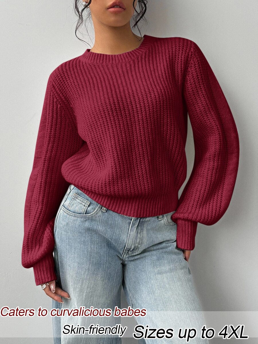 SHEIN BASICS Plus Size Women Solid Color Round Neck Long Sleeve Casual Traditional Sweater Autumn Formal Teacher White Home Wear - Burgundy - View 1