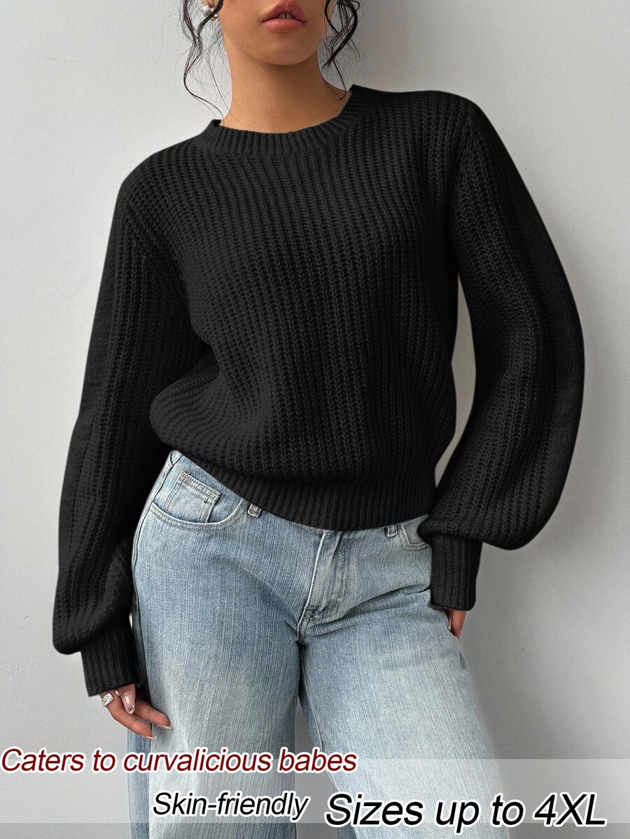 SHEIN BASICS Plus Size Women Solid Color Round Neck Long Sleeve Casual Traditional Sweater Autumn Formal Teacher White Home Wear - Black - View 1