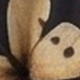 彩色