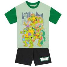 Teenage Mutant Ninja Turtles T-Shirt And Shorts Set | TMNT Boys' 2-Piece Clothing Set | Kids' Clothing Sets - Green - View 1