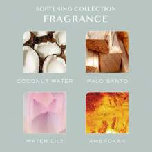 Softening + Moisturizing Shampoo - Sulfate Free, Vegan And Color  - 10 Fl Oz