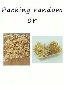 50/70/100/300 件或 50/150 克迷你满天星花和其他干花 - 用于树脂模具艺术工艺品、象牙白花束，可用作发饰、婚礼花环、桌上花瓶、家居装饰