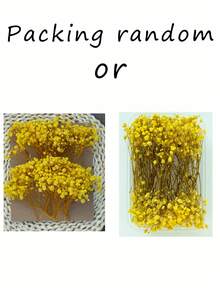 50/70/100/300 件或 50/150 克迷你满天星花和其他干花 - 用于树脂模具艺术工艺品、象牙白花束，可用作发饰、婚礼花环、桌上花瓶、家居装饰