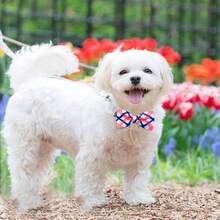 5/10PCS Plaid Dog Collars With Elastic Bands Mixed Colors Dog Bowties Fashion Pet Bow Ties For Dogs And Cats Grooming Accessories - Multicolor - View 5