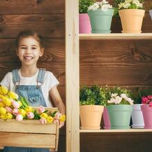 Mumufy 54 Pack 4 Inch Plant Pots Bulk Small Planter With Drainage Hole And Saucer Small Plastic Pots For Flowers Succulent Cactus And All House Indoor Colorful - Đầy màu sắc1 - Xem 3