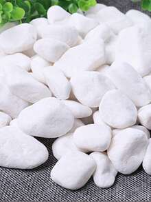 3000克/包 天然白色鹅卵石，大块石子，适用于盆栽植物、铺路、庭院、花园、景观装饰