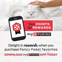 Gems Seafood, Fish, Salmon Flavor Adult Wet Food - 2oz/2ct