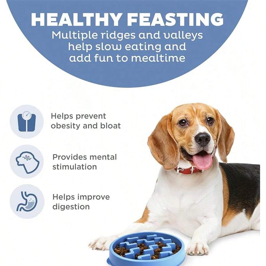 Outward Hound Fun Feeder Slo Bowl, Slow Feeder Dog Bowl, Medium/, Turquoise - 藍色 - 查看 1