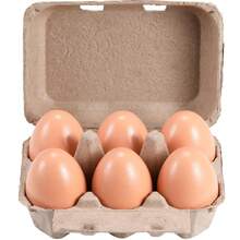 10 件纸浆 6 槽鸡蛋托盘，可重复使用的储物托盘，可容纳 6 个鸡蛋，冰箱纸盒纸架容器