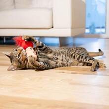 Catstages Crunchy Pickle Kicker Toy With Catnip And Dental Mesh, Pickle Shape, Plush And Crinkle Toy Kicking, Tossing, And Teeth Cleaning, Green - Nấm Kicker - Xem 7