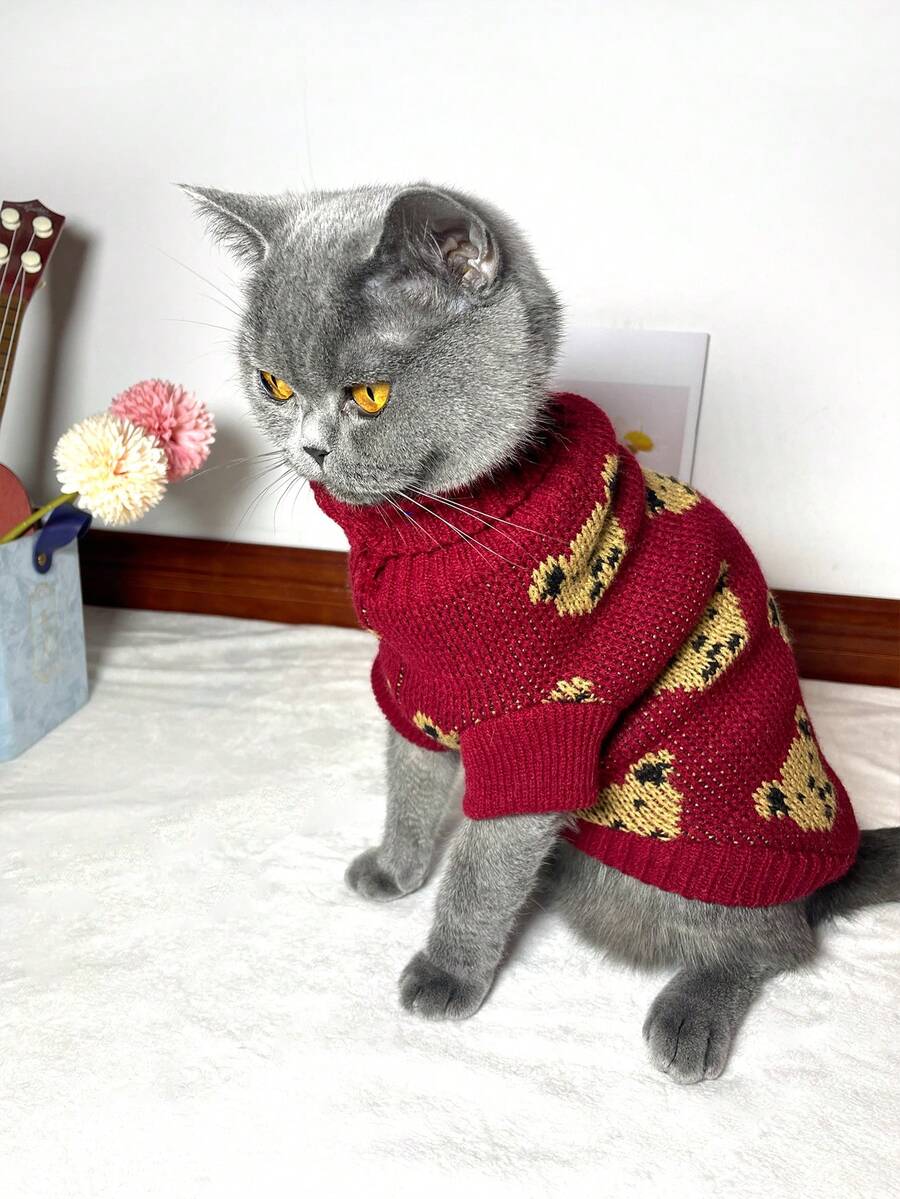 1件可爱小熊宠物毛衣，简单实用，多功能