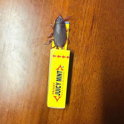 1pc/5pcs Fake Cockroach Chewing Gum, Realistic Novelty Joke Toy, Funny Surprise Gift