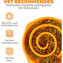 Outward Hound Fun Feeder Slo Bowl, Slow Feeder Dog Bowl, Medium/Mini, Turquoise