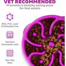 Outward Hound Fun Feeder Slo Bowl, Slow Feeder Dog Bowl, Medium/Mini, Turquoise