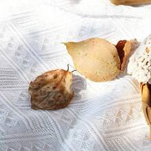 Outdoor Photography Picnic Mat, Travel Picnic Blanket In European & American Style, Beige, Waterproof Camping Mat, Beach Blanket, Tablecloth - White - View 4