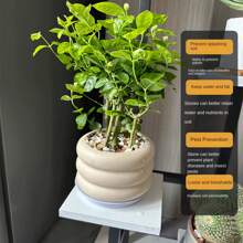 400克/0.88磅彩色鹅卵石，各种颜色的天然河石，适用于花盆装饰、鱼缸造景、假石花园、小路铺设，可创造意想不到的效果