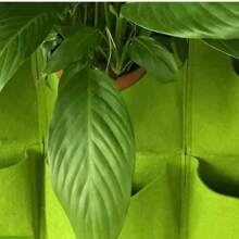 Wall Hanging Pockets Planting Bags Flower Pot Home Garden Grow Bag Garden Planter Vertical Suculentas Plant Pot Home Decor