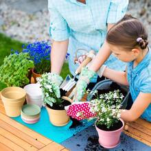 Mumufy 54 Pack 4 Inch Plant Pots Bulk Small Planter With Drainage Hole And Saucer Small Plastic Pots For Flowers Succulent Cactus And All House Indoor Colorful - Đầy màu sắc1 - Xem 5