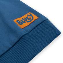 Sweatshirt | Bluey, Bingo, Chilli & Bandit Boys' Sweater | Kids' Jumpers