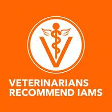 Perfect Portions Healthy Adult Chicken Fvor Pate Wet Cat Food - 2.6oz31545 - 1 - View 9