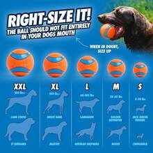 Chuckit! Ultra Ball Dog Toy - Medium Bouncy Fetch Balls For Dogs 20-60 Lbs - Made From Durable Rubber - Floating Water Pet Toys - Size Medium - 2.5-Inch Diameter - Pack Of 4 - 中號(8 桶裝) - 查看 3