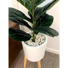 GRISUN 15LB White Rocks For Garden Landscaping 1-2 Inch Polished Decorative Stones Natural River Rocks For Plants Aquarium Fish Tank Vases Filler Outdoor And Indoor Pebbles - 白色1 - 查看 6