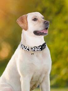 1pc Cute And Distinctive Patterns Dinosaur Bee Cow Pet Collar For Small Medium Large Dogs Adjust Buckle Dog Collar For Indoor And Outdoor Use - Multicolor - View 11