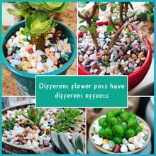 400克/0.88磅彩色鹅卵石，各种颜色的天然河石，适用于花盆装饰、鱼缸造景、假石花园、小路铺设，可创造意想不到的效果