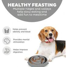 Fun Feeder Slo Bowl, Slow Feeder Dog Bowl,  Turquoise - Xám - Xem 2