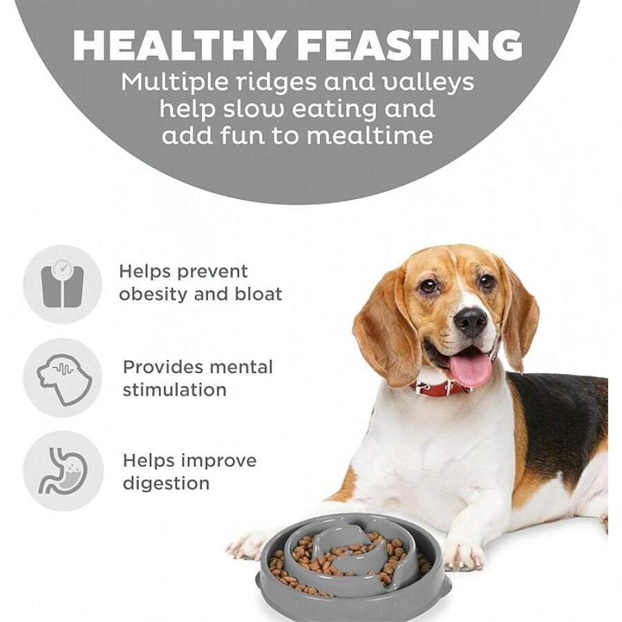 Outward Hound Fun Feeder Slo Bowl, Slow Feeder Dog Bowl, Medium/, Turquoise - Grey - View 1