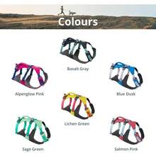 Dog Harness, M, Sage Green - Basalt Grey - View 8