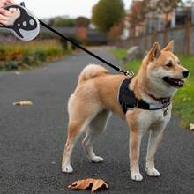 Small Fish Pet Traction Rope Automatic Retractable Dog Walking Rope Traction Belt Dog Traction Device Dog Rope Dog Walking Artifact - Green - View 3