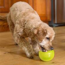 Outward Hound By Planet Dog Snoop Durable Interactive Treat Dispensing Dog Toy, Large, Blue - 黃色 - 查看 8