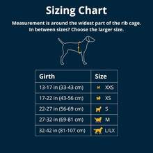 Dog Harness, M, Sage Green - Basalt Grey - View 2