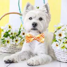 5/10PCS Plaid Dog Collars With Elastic Bands Mixed Colors Dog Bowties Fashion Pet Bow Ties For Dogs And Cats Grooming Accessories - Multicolor - View 4