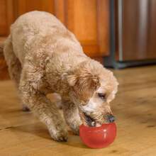 Outward Hound By Planet Dog Snoop Durable Interactive Treat Dispensing Dog Toy, Large, Blue - 紅色 - 查看 2