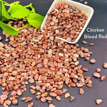 400克/0.88磅彩色鹅卵石，各种颜色的天然河石，适用于花盆装饰、鱼缸造景、假石花园、小路铺设，可创造意想不到的效果