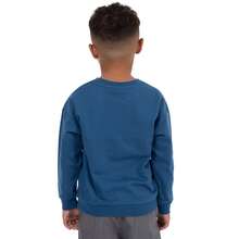 Sweatshirt | Bluey, Bingo, Chilli & Bandit Boys' Sweater | Kids' Jumpers